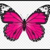 mariposasjv